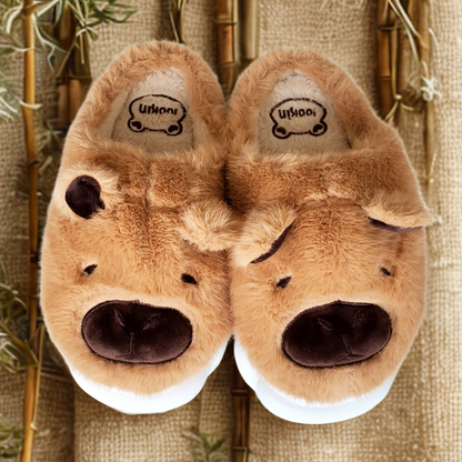 Pantuflas de Capibara Cerradas color Marrón (Mujer Adulto)