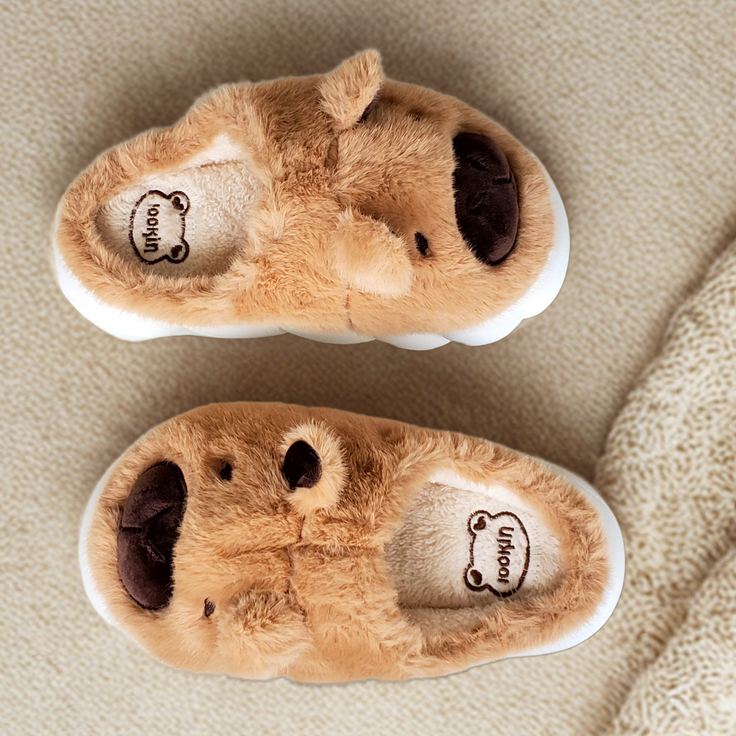 Pantuflas de Capibara Cerradas color Marrón (Mujer Adulto)
